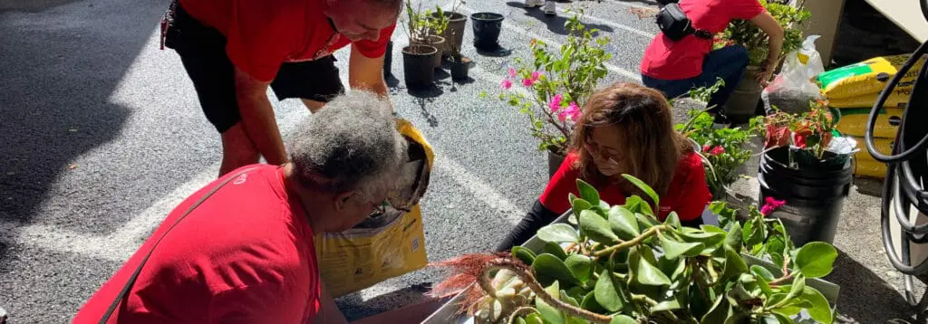 HSFCU employees volunteering at Maluhia 2024