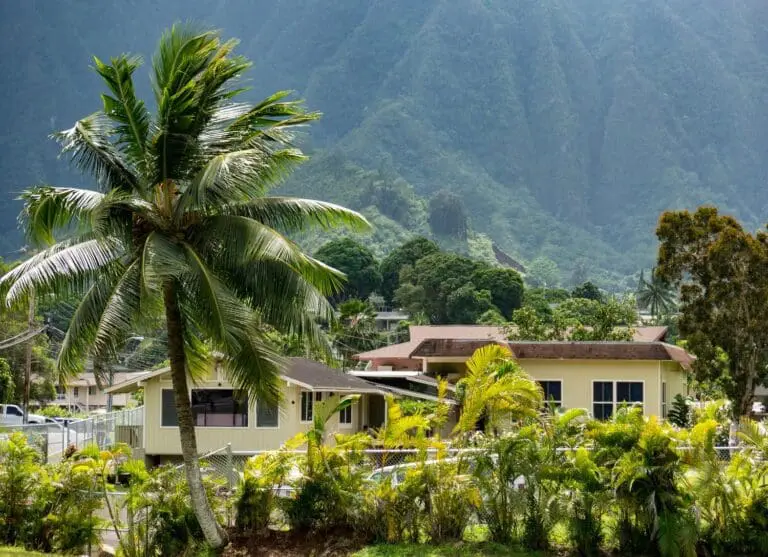 home with the koolaus in the background