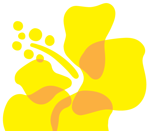 hibiscus illustration