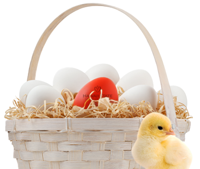 chick with egg basket