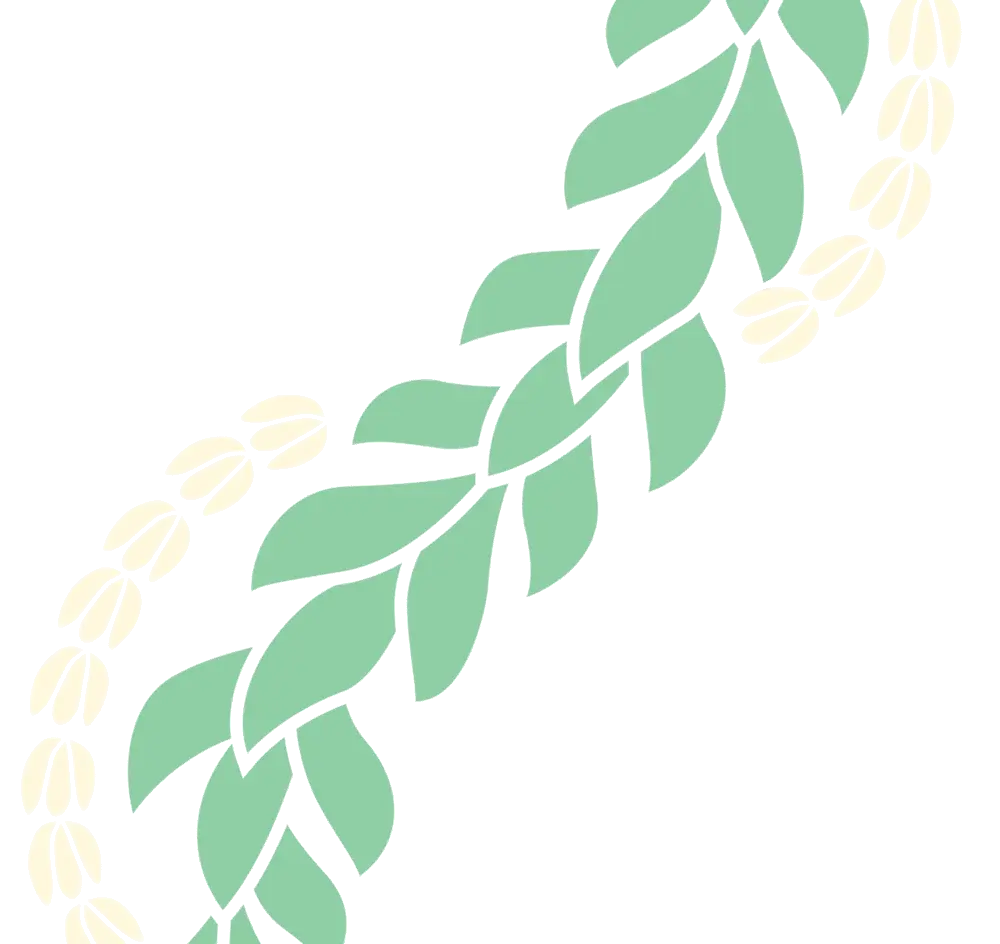lei illustration